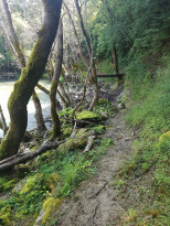 Kalamas River Trails 2021 - RUN 10k